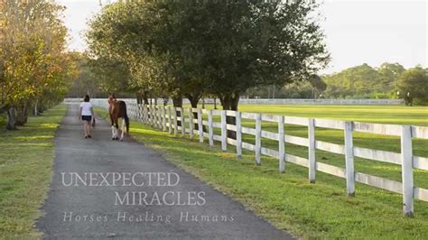 The Magical Equine and Mental Health: Consequences and Potential Therapeutic Benefits